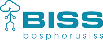 Siemens Logo